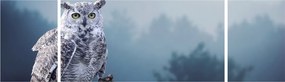 Obraz - Sowa śnieżna (170x50 cm)