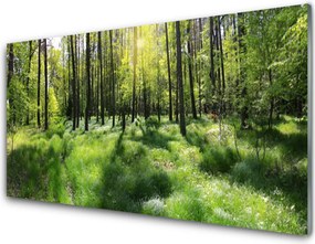 Panel Szklany Leśna Ścieżka wśród Traw