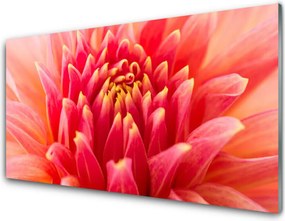 Panel Szklany do Kuchni Subtelny Pączek Kwiatowy