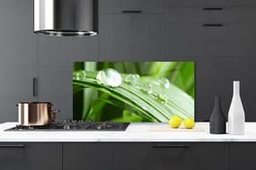 Szkło do Kuchni na Ścianę Kropla Rosy W Makrofotografii