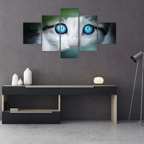Obraz kota (125x70 cm)
