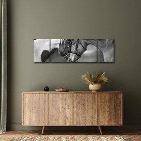 Obraz - Zakochane konie, czarno - biały (170x50 cm)