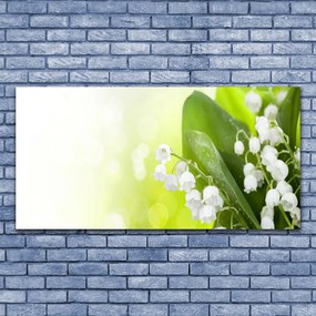 Obraz Canvas Konwalie Liście Kwiaty Łąka