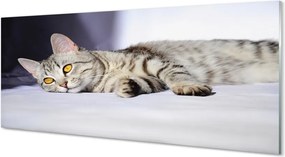 Szkło do Kuchni na Ścianę Leniwe Popołudnie na Kanapie