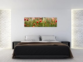 Obraz maków (170x50 cm)