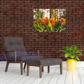 Obraz na szkle - kwiaty tulipanów (70x50 cm)
