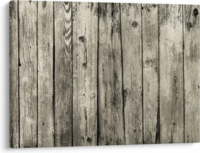 Obraz - Drzewo (70x50 cm)