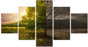 Obraz - Cykl życia (125x70 cm)