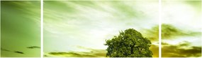 Obraz - Drzewo życia (170x50 cm)
