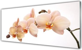 Panel Kuchenny Botaniczna Elegancja Kwiatów