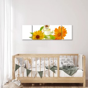Obraz kwiatowego oleju (170x50 cm)