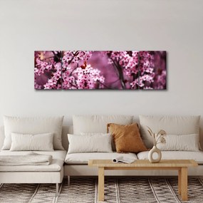 Obraz - Różowa sakura (170x50 cm)