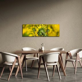 Obraz słonecznika (z zegarem) (90x30 cm)