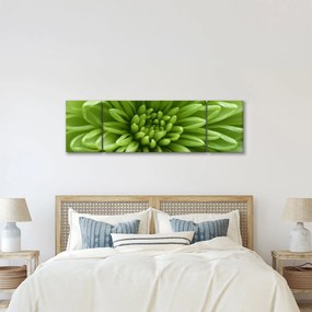 Obraz - Obraz rośliny w trybie makro (170x50 cm)
