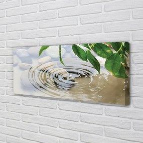 Duży obraz na płótnie Krystaliczny Plusk Wody