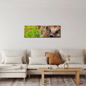 Obraz jeża (z zegarem) (90x30 cm)