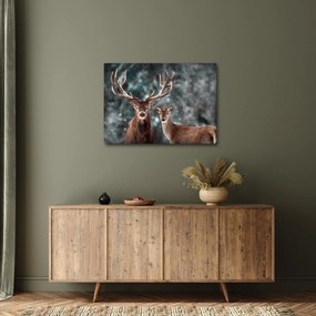 Obraz - Jeleń i łania w zaśnieżonym lesie (70x50 cm)