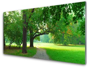 Panel Szklany Ścieżka Drzewa Natura