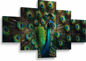 Obraz – Paw (125x70 cm)