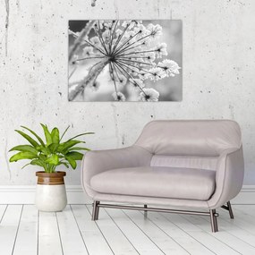 Obraz na szkle - Kwiat w zimie (70x50 cm)