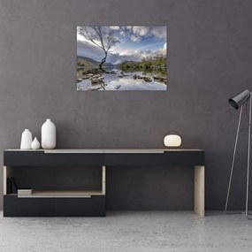 Obraz na szkle - rzeka z drzewem (70x50 cm)