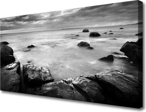 Obraz canvas Surowy Brzeg Oceanu