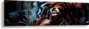 Obraz leżącego tygrysa (170x50 cm)