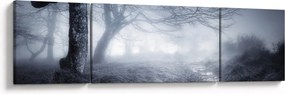 Obraz- Droga we mgle (170x50 cm)