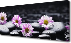 Zdjęcie na płótnie Egzotyczna Orchidea w Rozkwicie