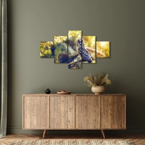 Obraz sowy na drzewie (125x70 cm)