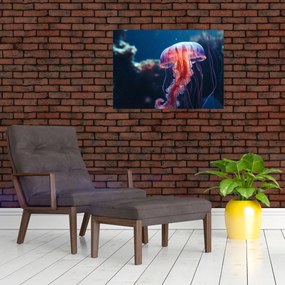 Obraz na szkle - Meduza (70x50 cm)