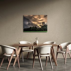 Obraz chmur i lasu (70x50 cm)