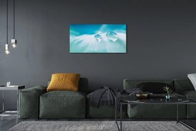 Obraz na płótnie Makrofotografia Kropli Wody