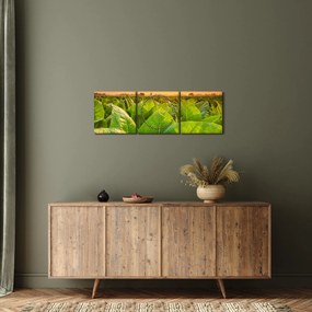 Obraz - Pole (z zegarem) (90x30 cm)