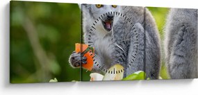 Obraz lemura (z zegarem) (90x30 cm)
