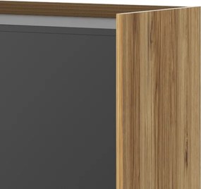 Szafa biurowa Smart Hubertus dąb pradawny / czarny mat