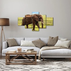 Obraz słonia (125x70 cm)