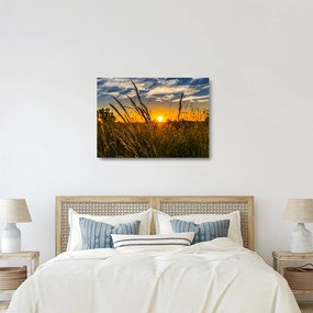 Obraz na szkle - pole o zachodzie słońca (70x50 cm)