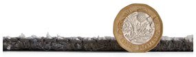 Szary dywan odpowiedni do prania 152x230 cm Deco Peacock – Catherine Lansfield