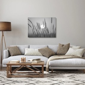 Obraz na szkle - Łąka o zachodzie słońca (70x50 cm)