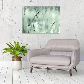 Obraz - Zielona łąka (70x50 cm)
