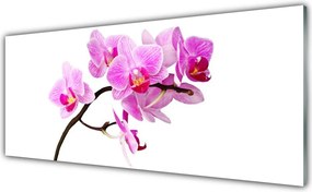 Panel Szklany do Kuchni Polne Kwiaty W Słońcu