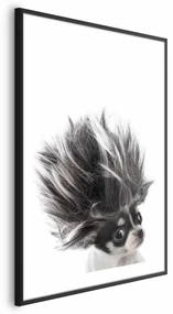 Plakat Chihuahua 21x30 cm z ramą czarną z marginesem ARTGEIST B