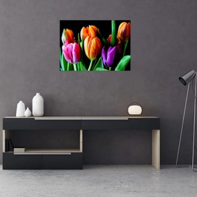Obraz na szkle tulipanów na czarnym tle (70x50 cm)