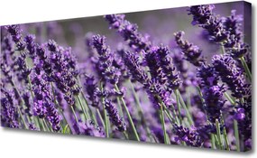 Fotoobraz na płótnie Kompozycja Kwiatowa na Płótnie