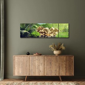 Obraz jeziora w dżungli Seszeli (170x50 cm)