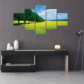 Obraz pola z aleją (125x70 cm)