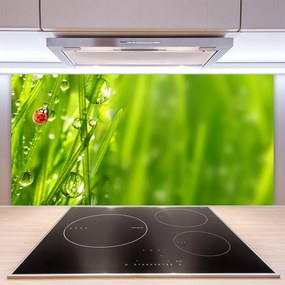 Szkło Dekoracyjne do Kuchni Biedronka na Zielonym Źdźble