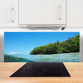 Panel Szklany Samotne Drzewo nad Morzem