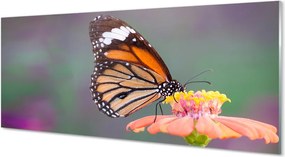 Panel Szklany Detal: Motyl i Kwiat